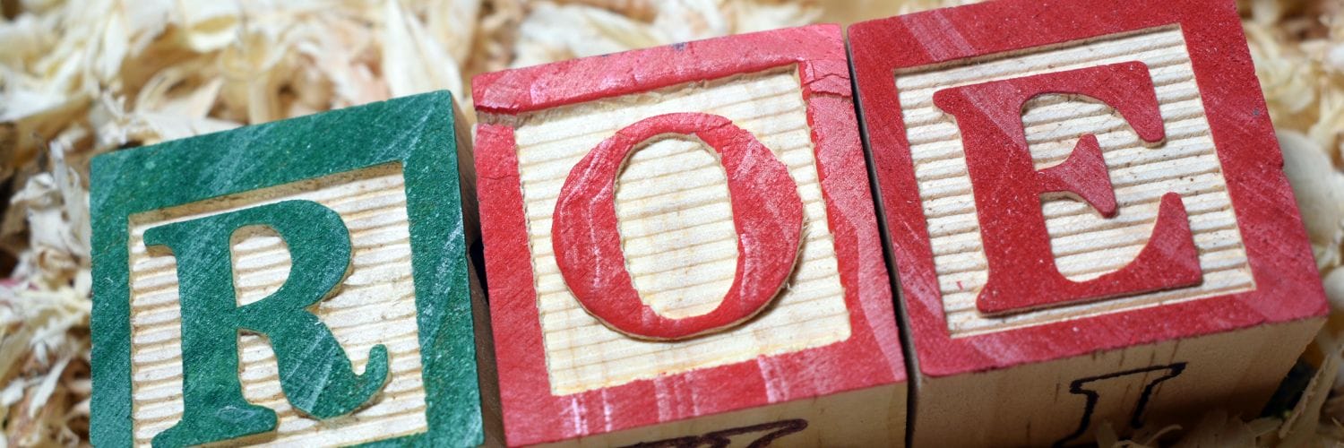 picutre of building blocks using the letters R,O,E