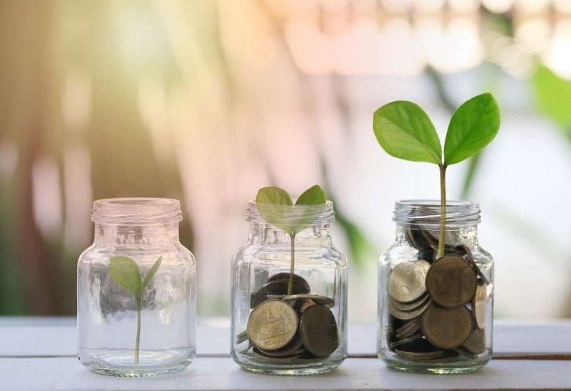 Money growing