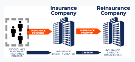 insurance buisness of reinsurance companies