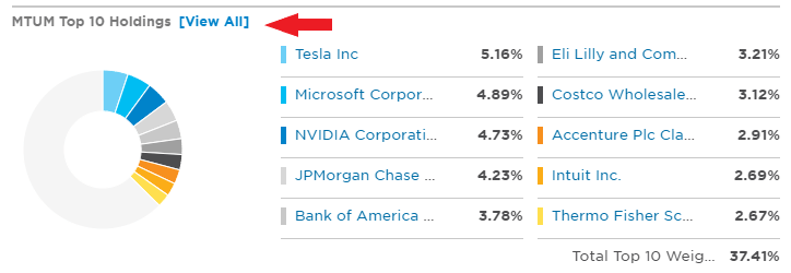 MTUM Top 10 holdings