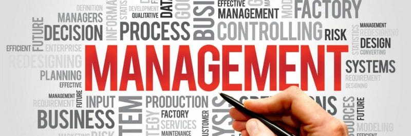 graphic of management