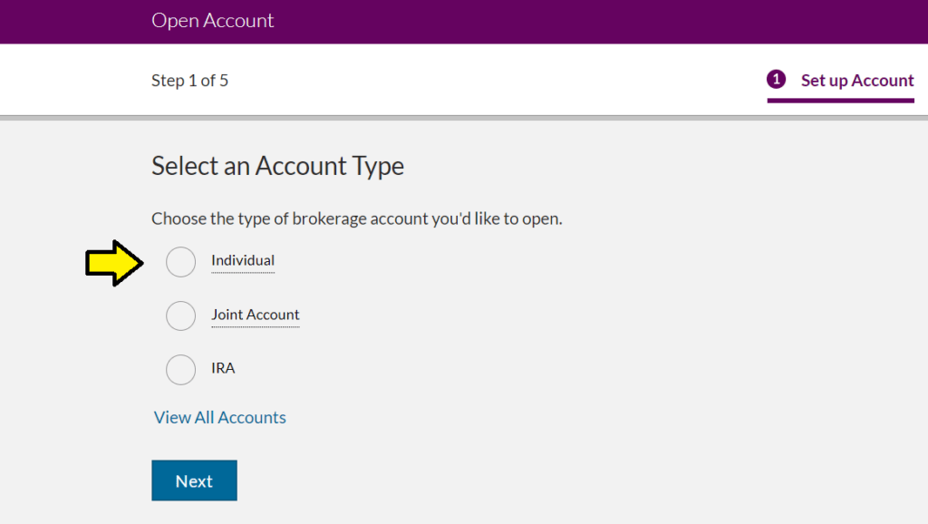 sellecting investment account type on ally webiste